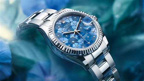 rolex katalog 2024|rolex oyster perpetual watch.